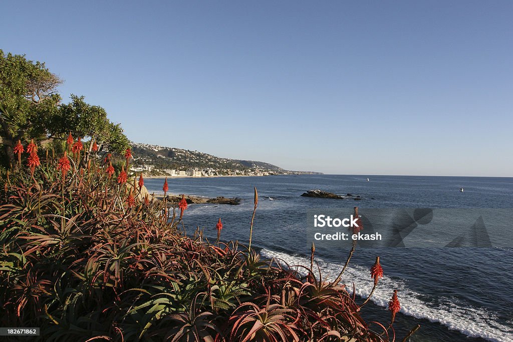 Foto perfeita costa de Laguna Beach - Foto de stock de Califórnia royalty-free