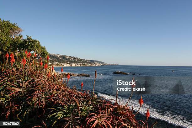 Foto de Foto Perfeita Costa De Laguna Beach e mais fotos de stock de Califórnia - Califórnia, Casa, Condado de Orange - Sul da Califórnia