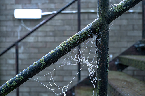 Shall focus of a frozen cobweb and metal railings seen outside a private building in the UK during early winter. The exterior light is used for lighting the metal staircase for emergency exit.