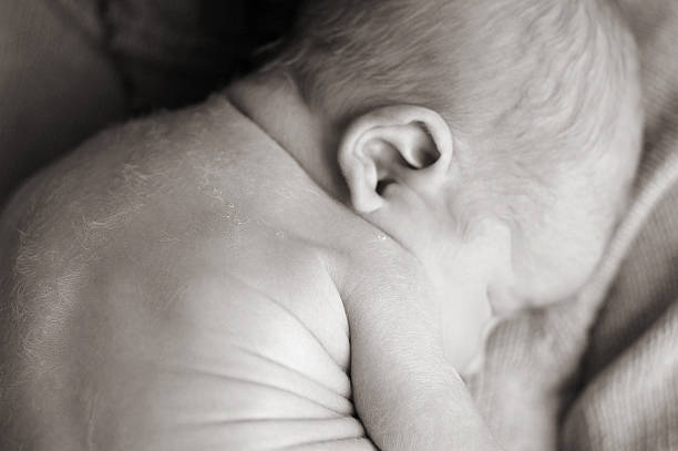 Black and White Image of Newborn Baby's Fuzzy Back stock photo