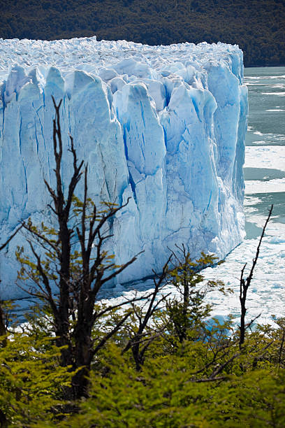 glaciar perito moreno national park, patagonia en argentina - patagonia ice shelf vertical argentina fotografías e imágenes de stock