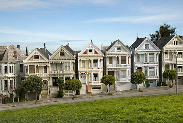 Painted Ladies stock photo