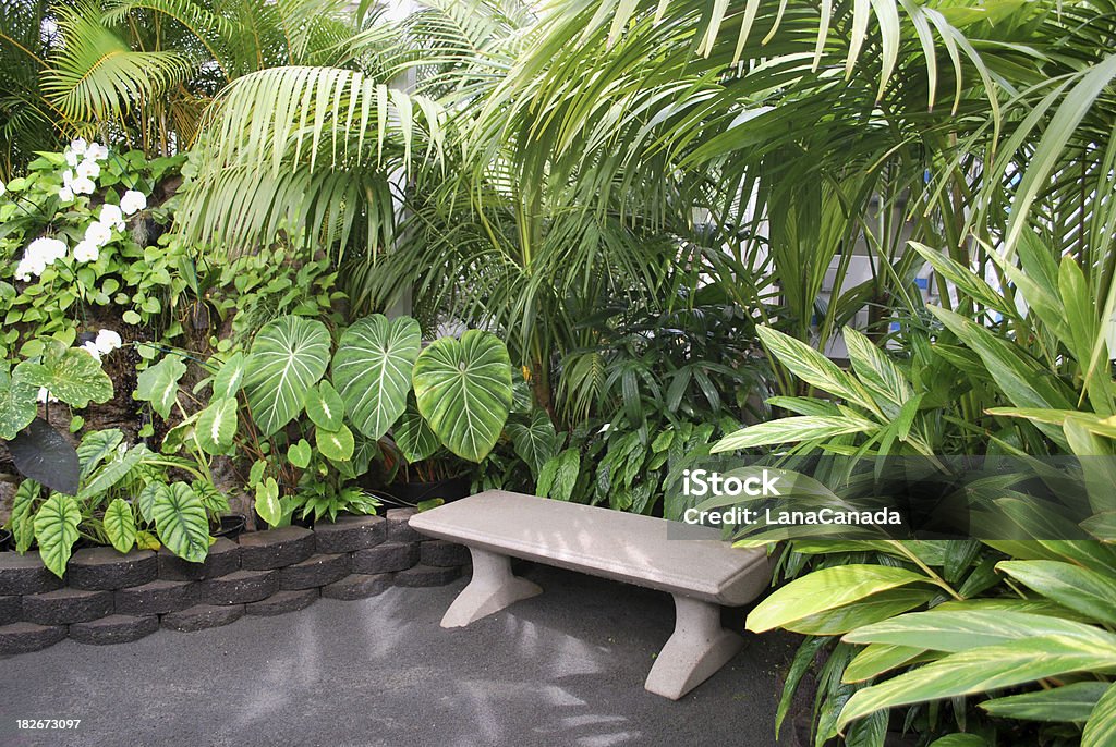 벤치 열대 정원에 - 로열티 프리 0명 스톡 사진
