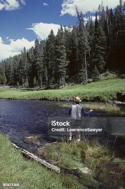 Mucha Rybak - zdjęcia stockowe i więcej obrazów Podstęp - Podstęp, Stan Montana, Wędkarstwo muchowe