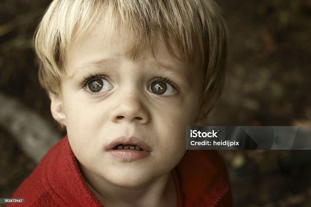 Asustada little boy - Foto de stock de Miedo libre de derechos