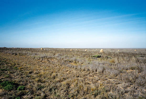 istock Termite Mounds Australian Outback Landscape 182673543