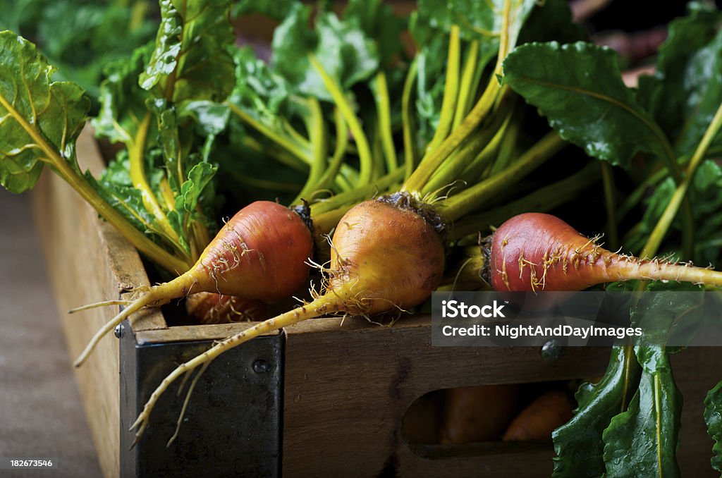 Golden Beets Organic farmer's market golden beets. Beet Stock Photo