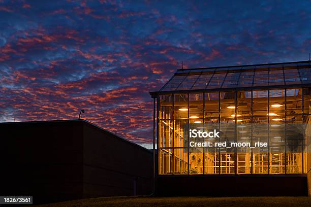 Research Greenhouse Stockfoto und mehr Bilder von Beleuchtet - Beleuchtet, Lichtquelle, Gewächshäuser