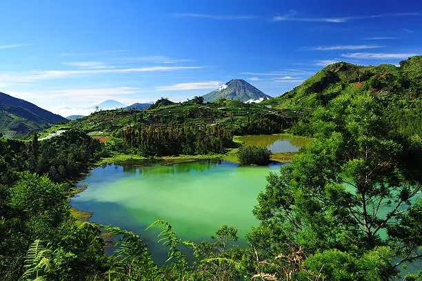 Photo of Beautiful mountain and forest landscape with a colorful lake