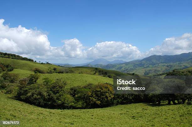 Colline Spettacolari - Fotografie stock e altre immagini di Agosto - Agosto, Agricoltura, Albero