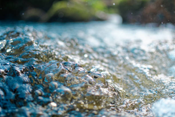 River seen from the water surface image.