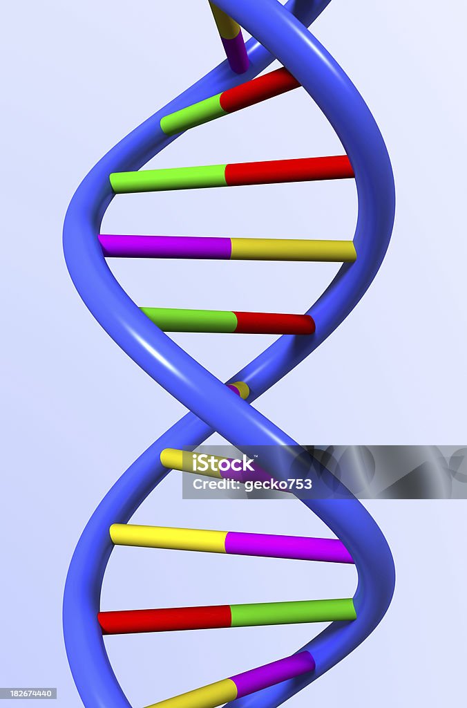 IL DNA - Foto stock royalty-free di DNA