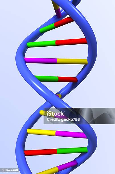 Il Dna - Fotografie stock e altre immagini di DNA - DNA, Elica - Forma geometrica, Modello della doppia elica