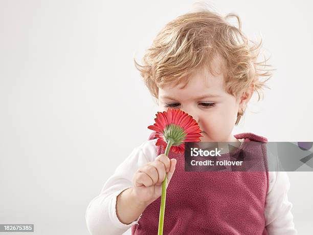 Rapariga A Cheirar As Flores - Fotografias de stock e mais imagens de Olfato - Olfato, Criança, Flor