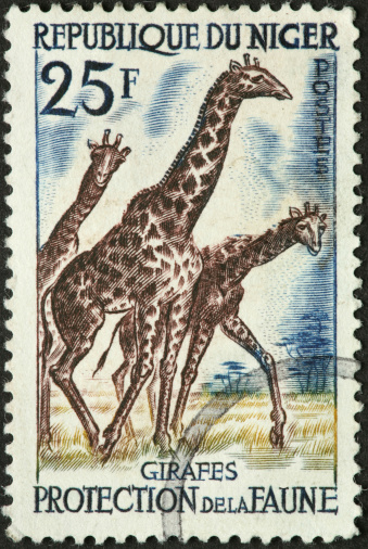 three giraffes on a stamp from Niger.
