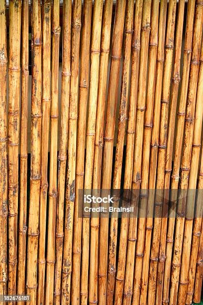 Parede De Cana - Fotografias de stock e mais imagens de Amarelo - Amarelo, Bambu - Material, Bambu-Amarelo