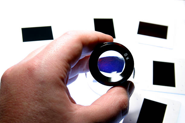 lupa lupa e slides - loupe lightbox magnifying glass photography - fotografias e filmes do acervo