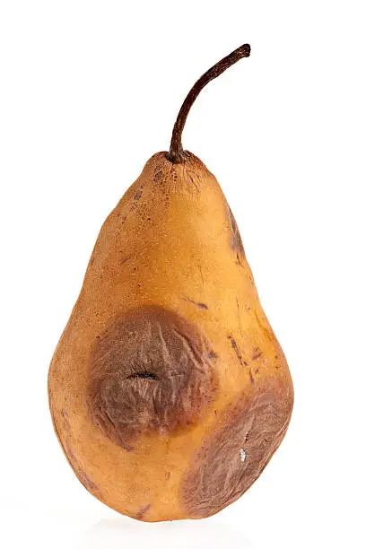 Photo of Rotten Pear