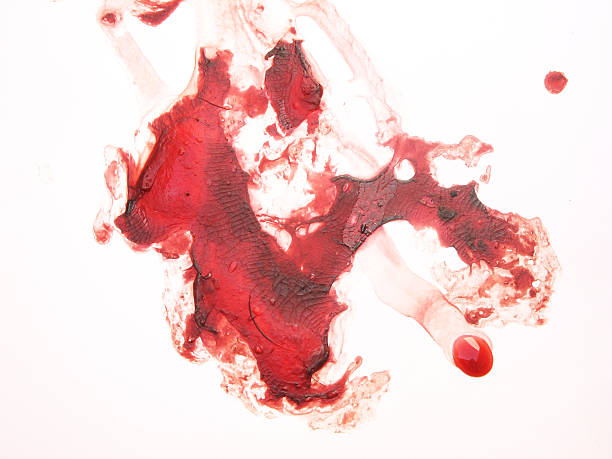 Manchas de sangue - foto de acervo