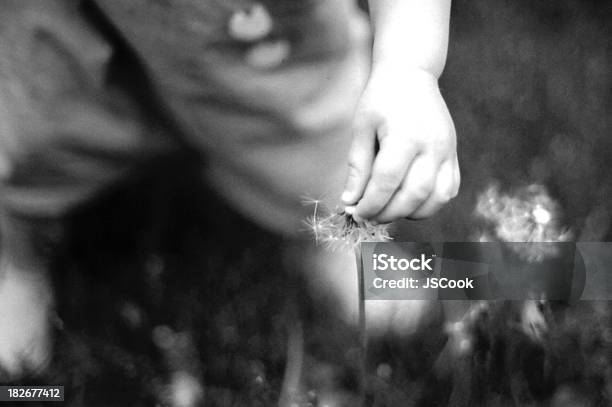 Making A Wish Stock Photo - Download Image Now - Baby - Human Age, Black Color, Blowing