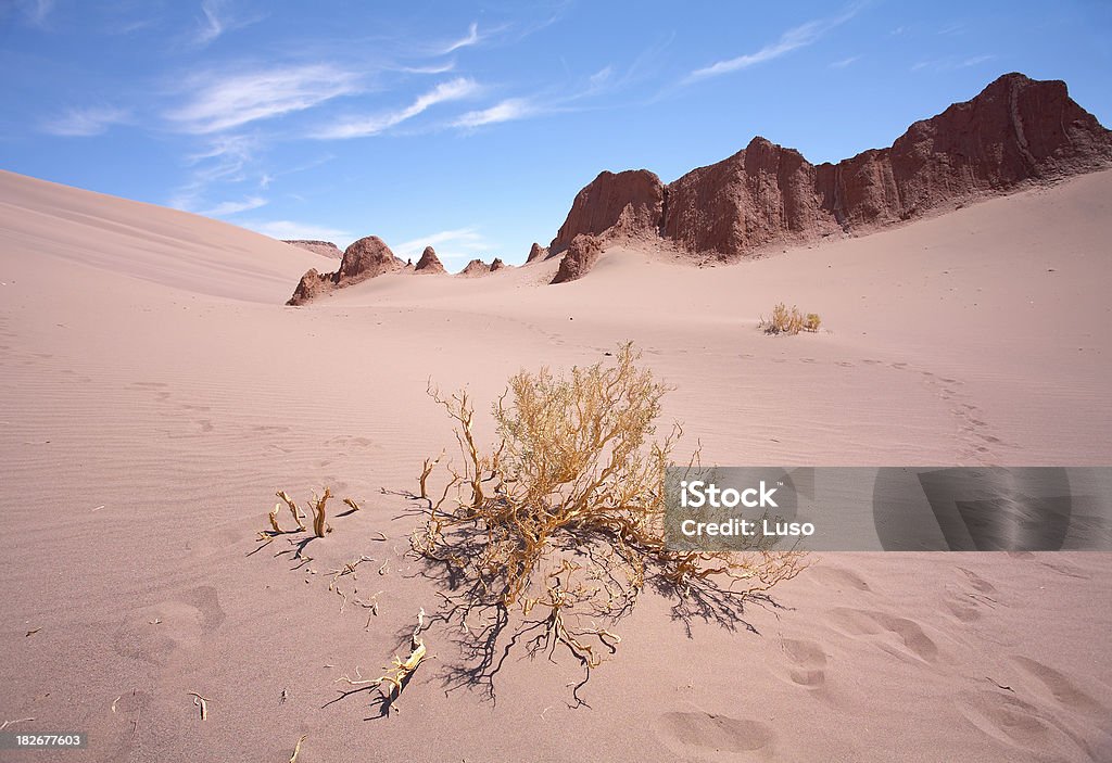 Vale da Morte-Deserto de Atacama, Chile - Foto de stock de Deserto de Atacama royalty-free