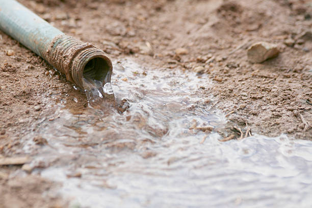 istock Dirty Garden Hose 182677684