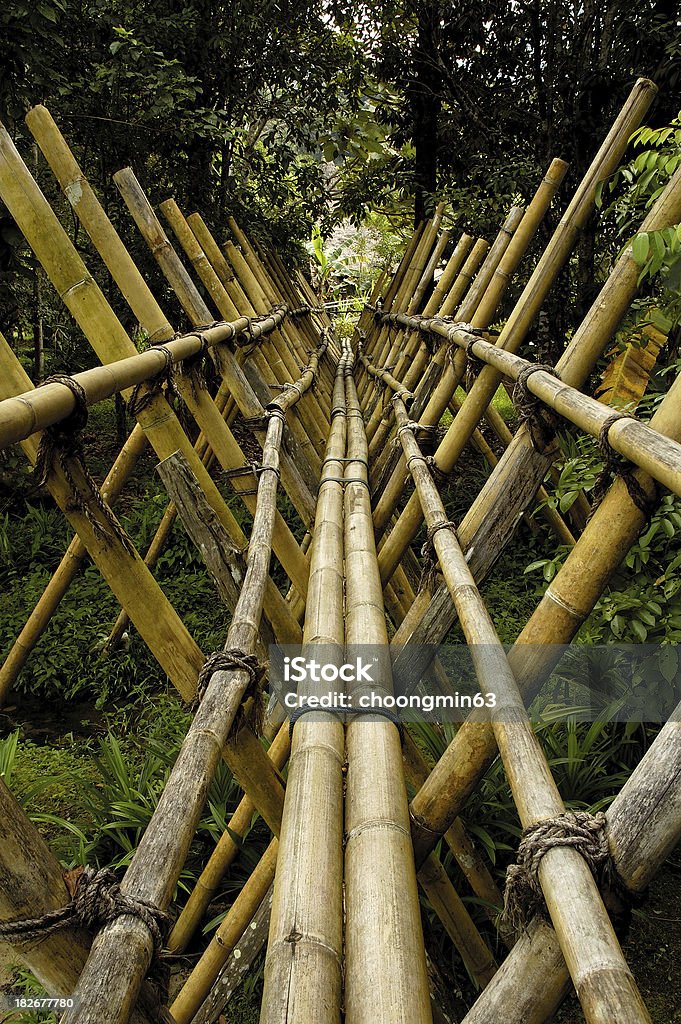 Puente de bambú - Foto de stock de Kuching libre de derechos