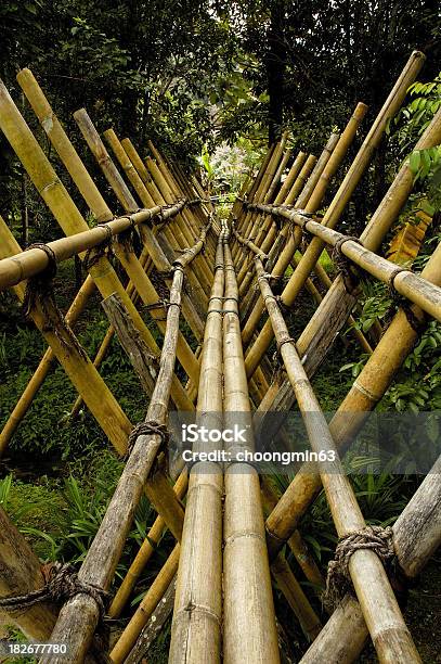 Ponte De Bambu - Fotografias de stock e mais imagens de Kuching - Kuching, Aldeia, Bambu - Família da relva