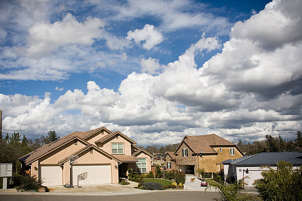 istock Neighborhood With a Dog 182677840