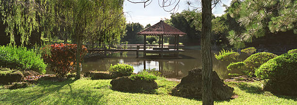 istock Botanic Garden, Havana, Cuba 182678024