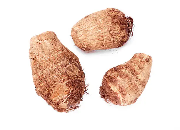 Taro root trio on a white background.  Also know as saru and is considered a staple in Oceanic cultures.