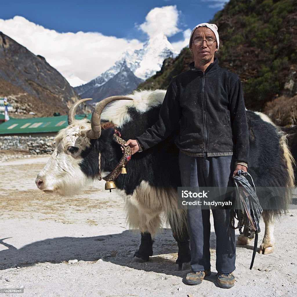 yak en Sherpa avec l'Himalaya, Sagarmatha National Park village - Photo de Parc National du Mont Everest libre de droits