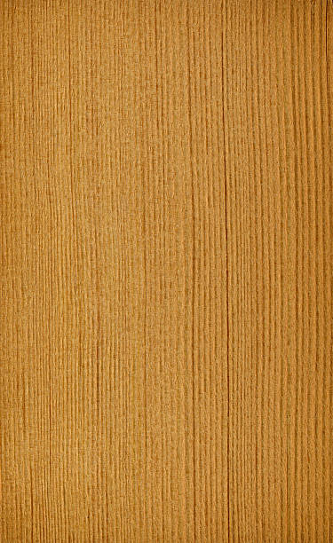 Wood Texture (Larch) stock photo