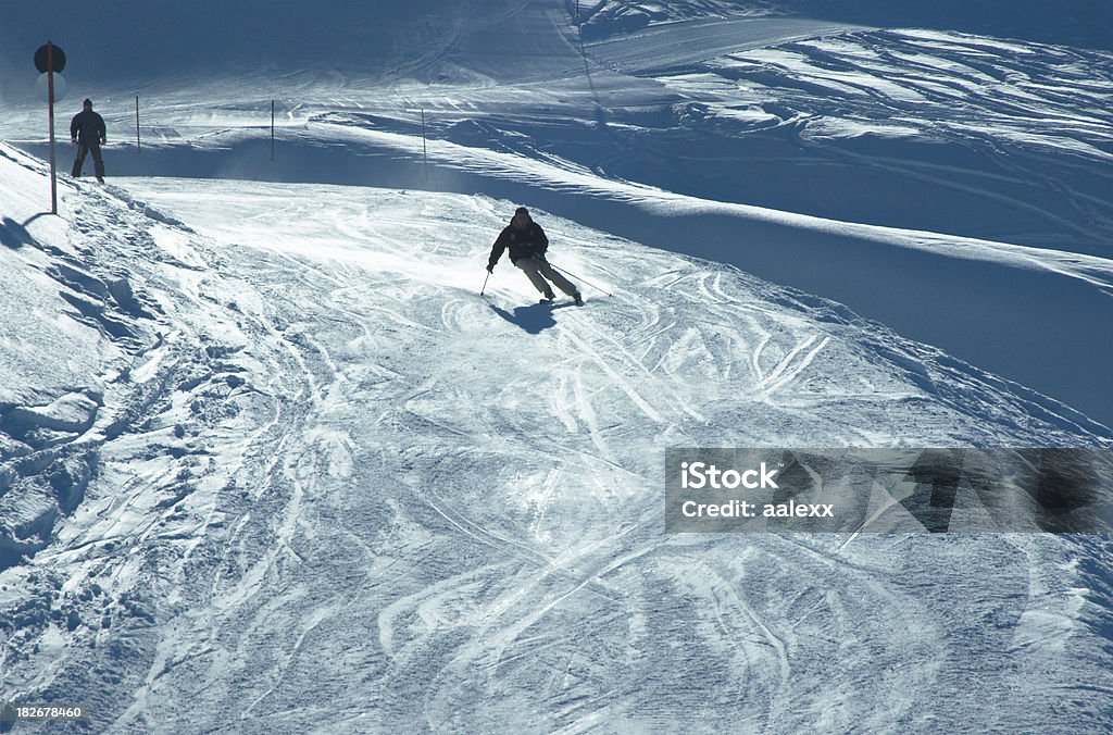 Skiracing - Foto stock royalty-free di Agilità