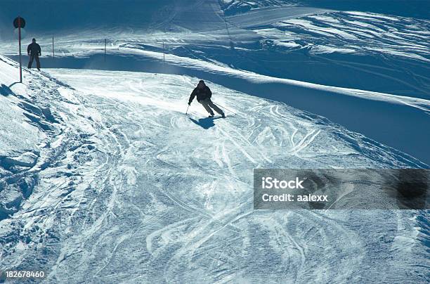 Skiracing - Fotografias de stock e mais imagens de Agilidade - Agilidade, Alpes Europeus, Atividade