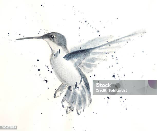 Young Hummingbird Hovering Stock Illustration - Download Image Now - Watercolor Painting, Bird, Hummingbird