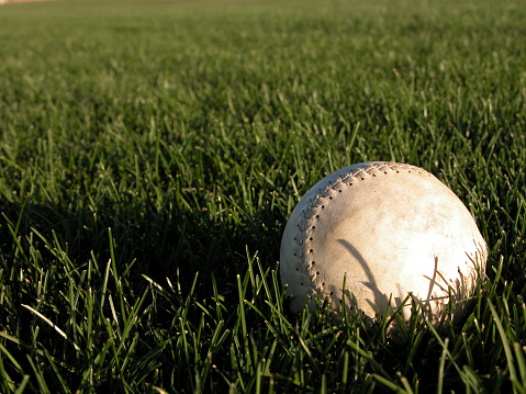 softball sitting in the grass.See more related images in my Softball & Baseball lightbox: