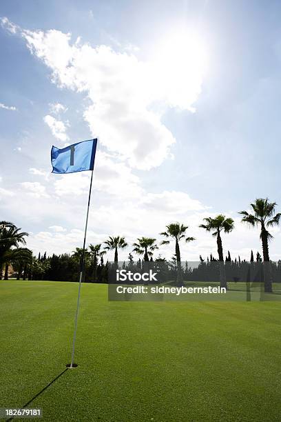 Bandeira De Golfe Na Brisa 4 - Fotografias de stock e mais imagens de Aspiração - Aspiração, Atirar à Baliza, Atividade