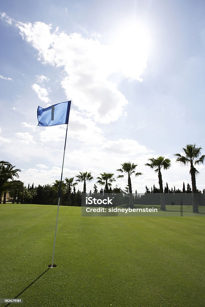 Флаг гольфа в бриз 4 - Стоковые фото Putting роялти-фри