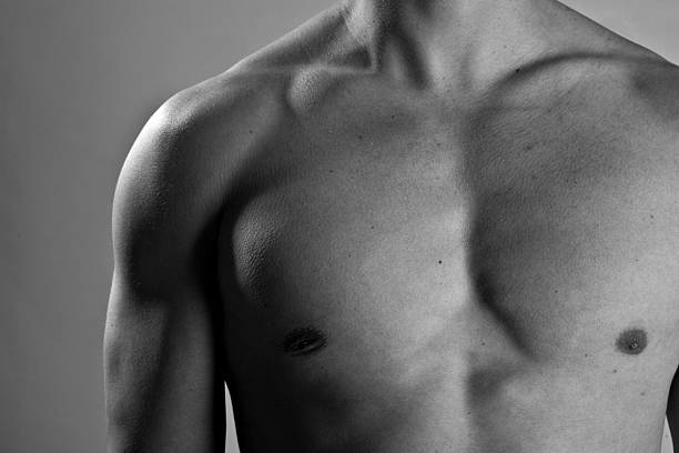 human anatomy: chest stock photo