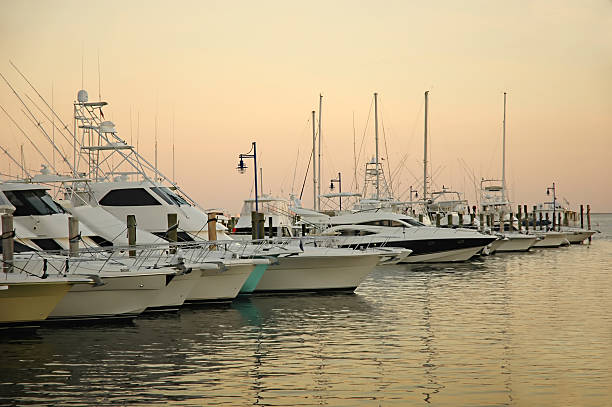 istock docked boats at coconut grove marina 182679261