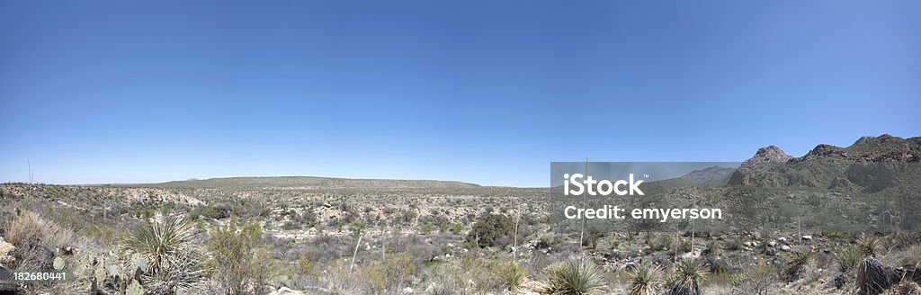 Sonoran Desert Panorama - Zbiór zdjęć royalty-free (Bez ludzi)