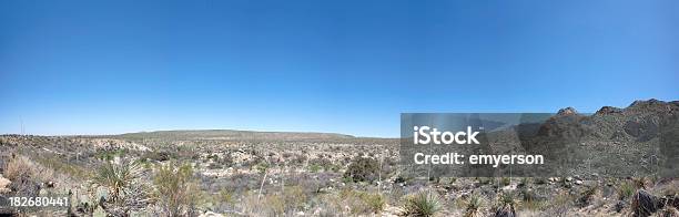 Sonoran Desert Panorama - zdjęcia stockowe i więcej obrazów Bez ludzi - Bez ludzi, Bezchmurne niebo, Fotografika