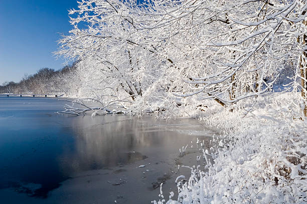 rime frost river landscape in winter time. sunny day.