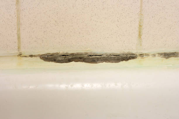 istock Toxic Mold in Bathtub 182681025