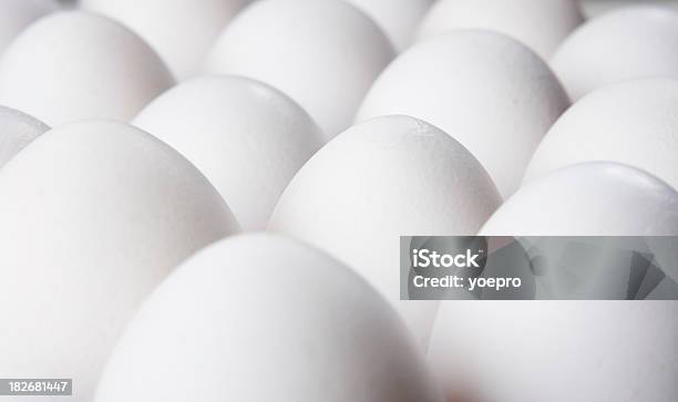 Lotes De Ovos - Fotografias de stock e mais imagens de Branco - Branco, Colesterol, Comida