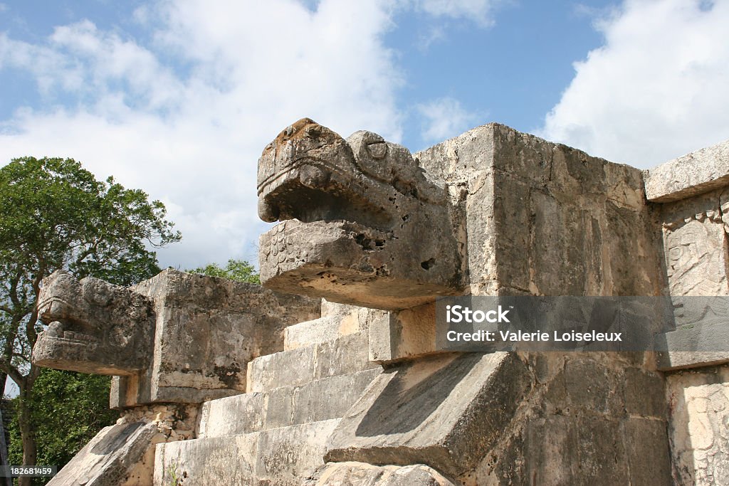 Serpente de cabeça - Royalty-free Jaguar - Gato Foto de stock