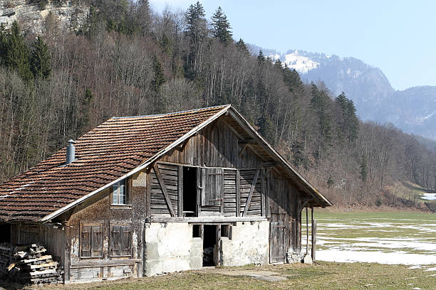 farmland animal barn y woodstore. alpes suizos, de brienz, berna, suiza - swiss culture chalet brienz european alps fotografías e imágenes de stock