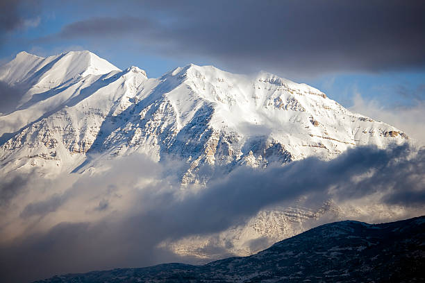 The Morning After a Snow Storm. stock photo