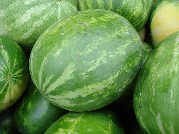 watermellons galore stock photo